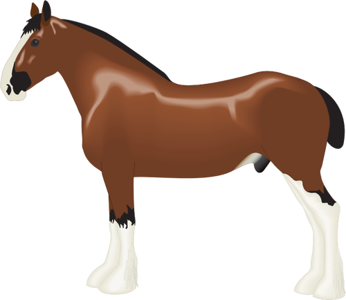 Clydesdale häst