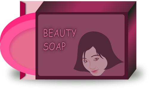 Image de vecteur pour le savon beauté asiatique