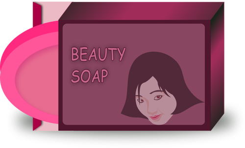 아시아 아름다움 soap 벡터 이미지