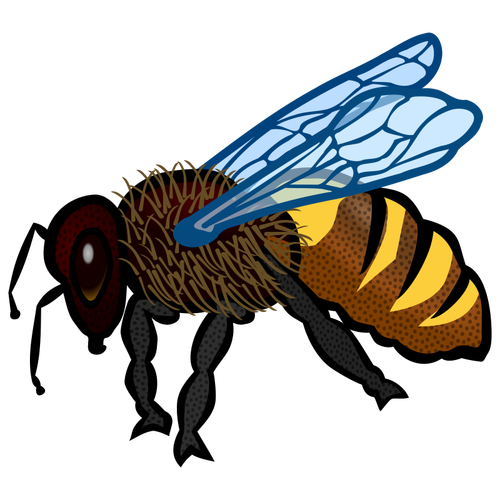 Крупным планом изображение пчелы