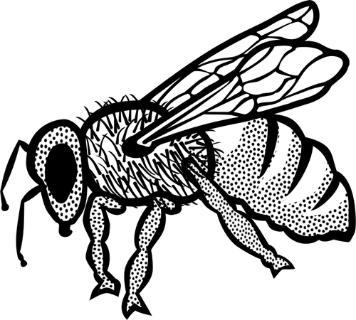 Контур векторного рисования пчелы