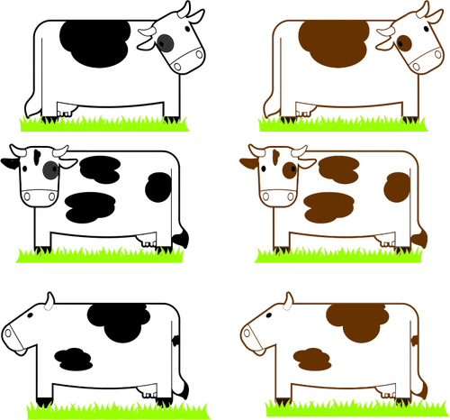 Black and brown cows image
