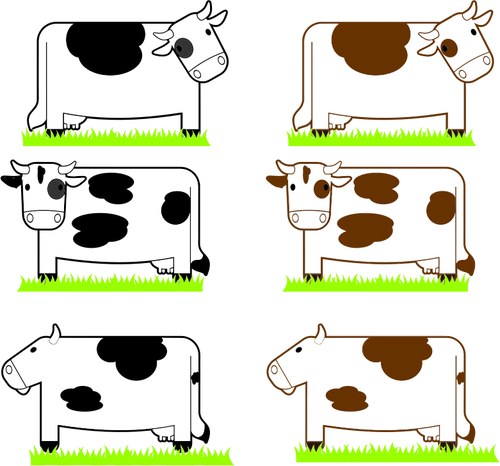 Black and brown cows image