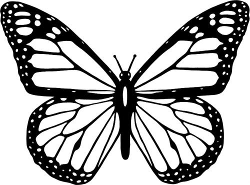 Vector clip art of black and white butterfly with wide spread wings