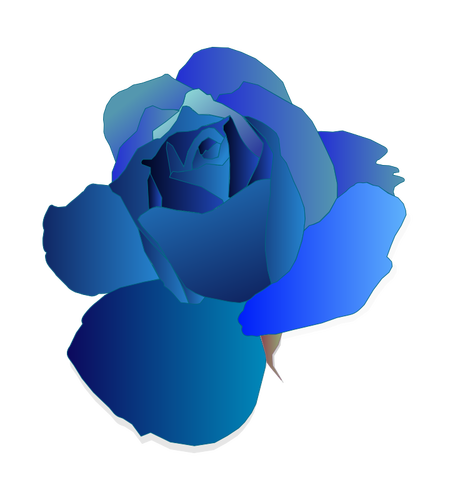 Rosa blu