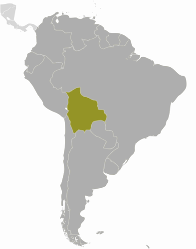Karta över Bolivia