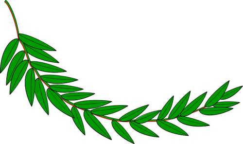 Zelený vavřínový