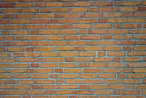 Brick wall vector image