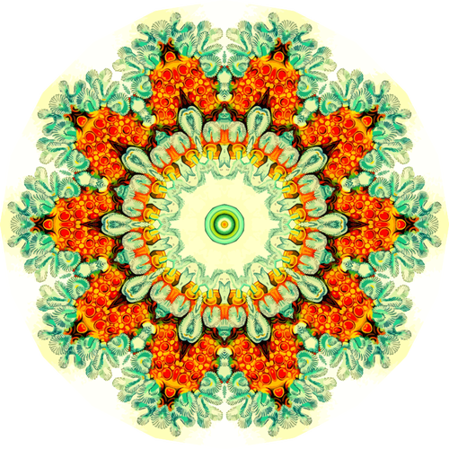 Flores geométricas de colores