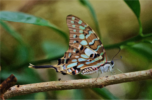 Grafika wektorowa motyla origami w skali odcieni szarości
