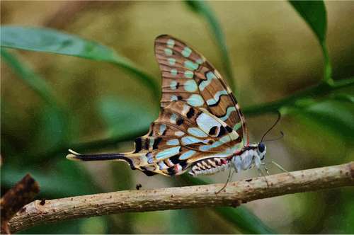 Imagen en escala de grises de origami mariposa vectorial