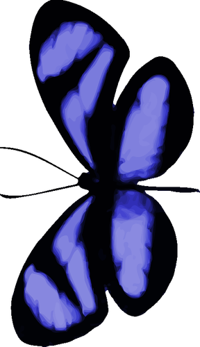 Синеватым бабочка