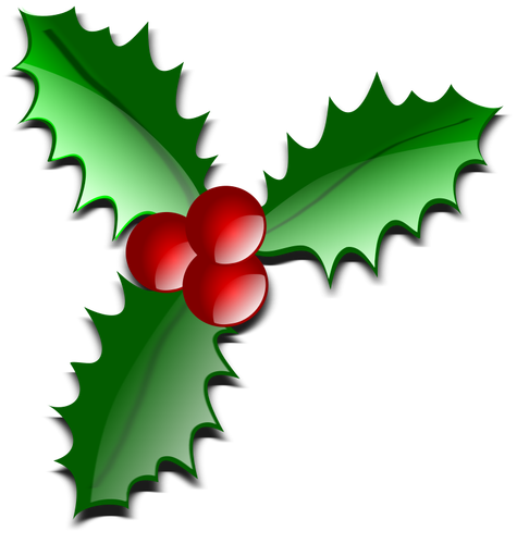 Christmas flower decoration