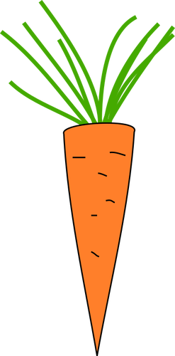 Carrot icon