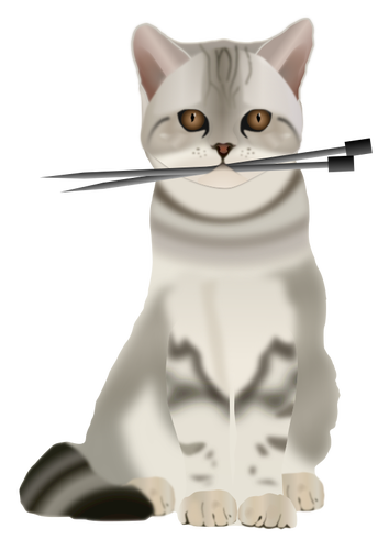 Kočka s pletací jehlice