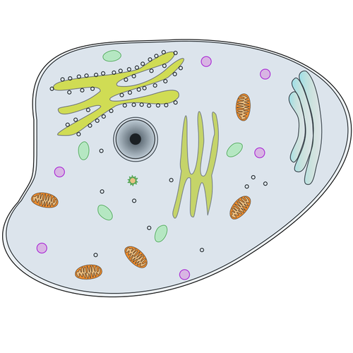 Ilustração do vetor de célula animal