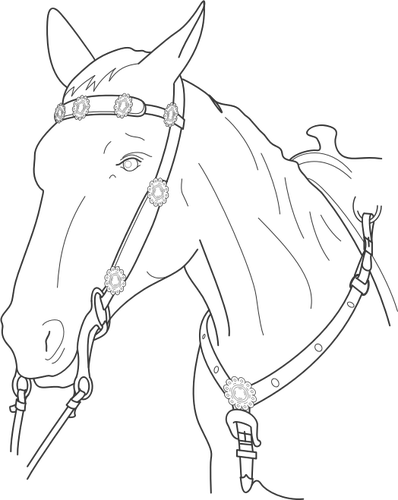 Ilustración vectorial de cabeza de caballo con plomo
