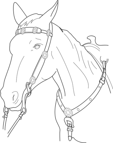 Vector illustration of horse head with lead