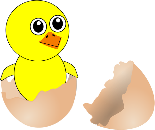 Newborn chicken in eggshell vector image