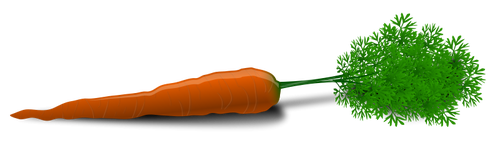 Vector image of a carrot