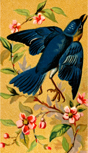 הציפור הכחולה ציור