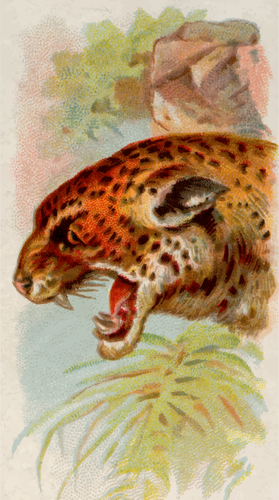 Jaguar illustratie