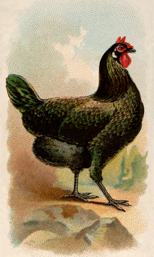 Gallina de la Fleche