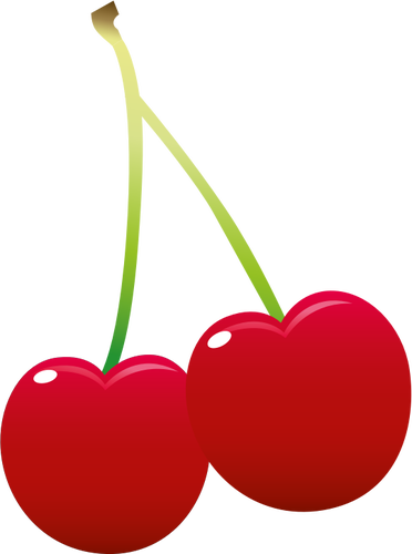 Cherries pair image