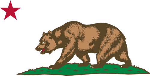 Bear walking under red star vector image