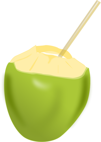 Kelapa dengan jerami vektor clip art