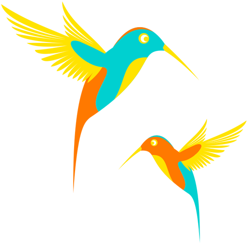 Colibri păsări în zbor ilustraţie