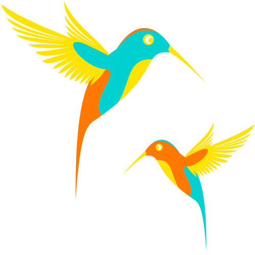 Humming birds in flight illustration