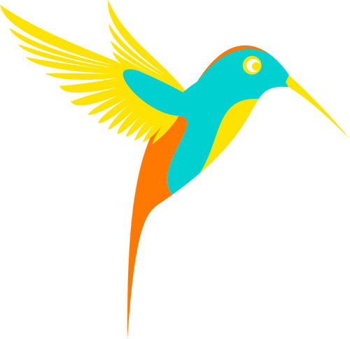 Warna-warni colibri