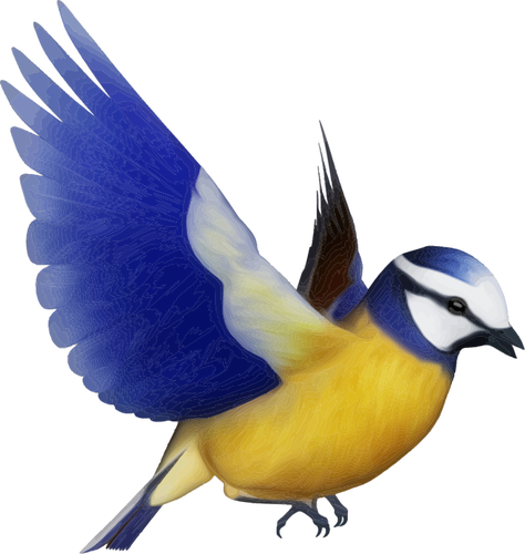 Vektör küçük resim renkli kuş