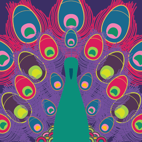 Colorful peacock line art