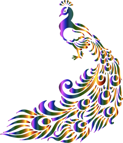 Färgglada påfågel vektorbild