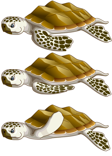 Морские черепахи