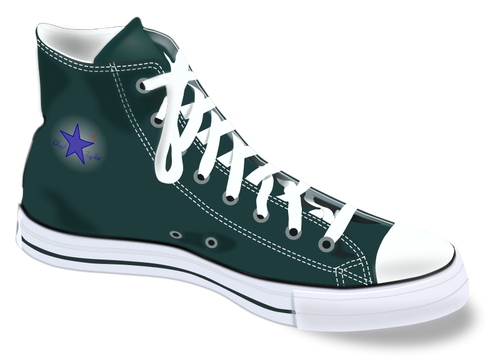 Converse sport shoes vector image
