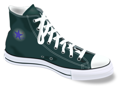 Converse sport shoes vector image