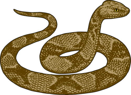 Zehirli yılan yılan resmi
