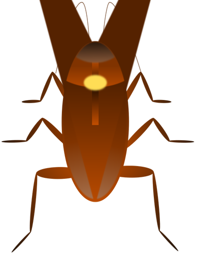 Hamam böceği illüstrasyon