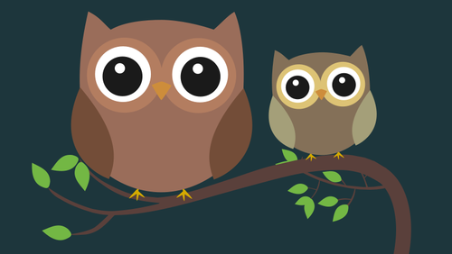 Two owls at night
