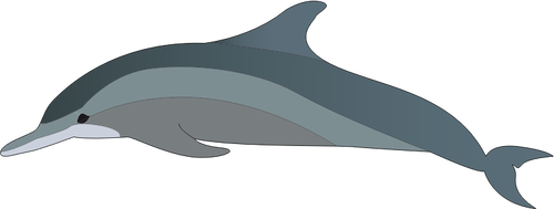 הפרופיל של דולפין
