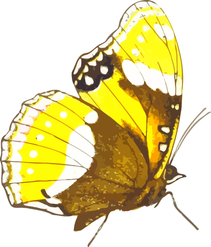 Papillon rétro