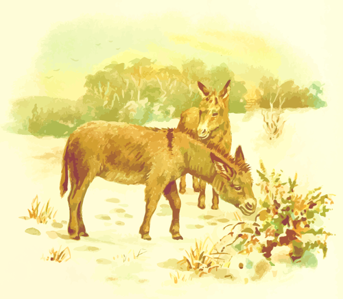 Ilustração de burros
