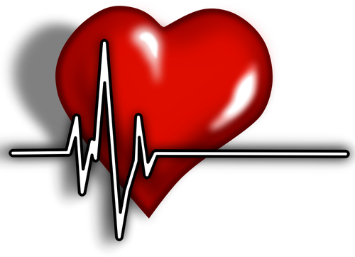 A heart with ECG complex vector illustration