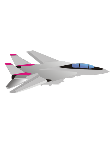 Grumman F-14 Tomcat avion vector image