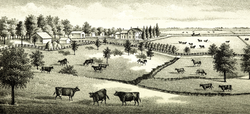 Ферма изображение сцены