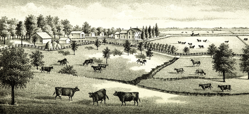 Farm scene image