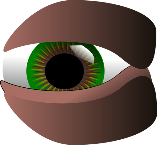 Vektor-ClipArts von grünes Auge